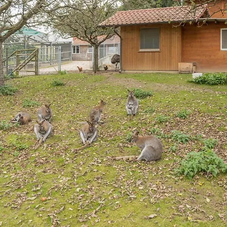 Zapfs Bauernhof Vergissmeinnicht 아파트 *